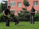 Preventivní program - ukázka policejní techniky, ukázka činnosti policejních psů
