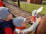 Hledání velikonočního zajíčka - celoškolní akce