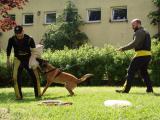 Ukázka činnosti policejních psů - celoškolní akce